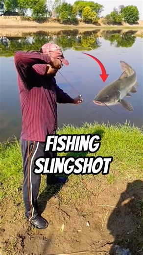 slingshot fishing target shooting skill 🎯 #shortsfeed #fishing #slingshot