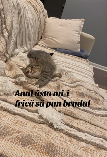 Viorica_Garabagiu on TikTok