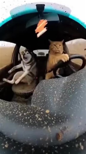 Now this is real offroad #funny #laugh #fyp #viral #foryoupage❤️❤️