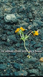 Blade Runner 2049 2017 ‧ Sci-fi/Action ‧ 2h 43m #scifimovies | Wendel Daño