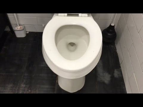 119. 2nd Gen Gerber Aquasaver Toilet w/ 35 Feet Test