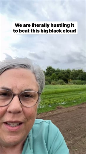 Timing is everything for everything. For the best stand of cover crops it comes down to: 🌱plant when rain is coming 🌱plant buckwheat when it is warm to hot 🌱 level the weed seed playing field by disturbing the surface I get the most weed suppression and thick plant growth. Raining on it now!!! #gardenersworkshopfarm | The Gardener's Workshop