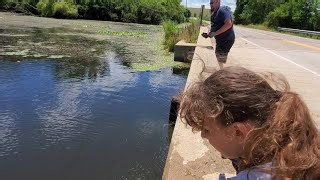 Beautiful spots yield incredible magnet fishing discoveries