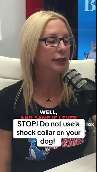 Why You Should Avoid Shock Collars for Dogs