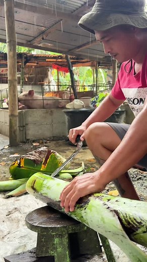 Araw-araw na Gawain sa Backyard Farming