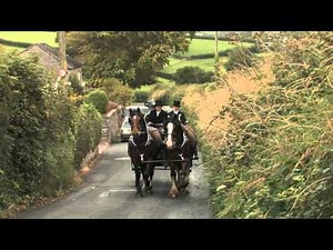 The Shire Horse in the 21st Century