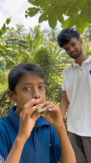 DIY Coconut Leaf Flute 🌴🎶 #YouTubeShorts #Shorts #Viral #FYP #DIY #NatureMusic #Creative