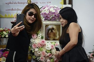 101 cremations: the rise of Bangkok's Buddhist pet funerals | Coconuts