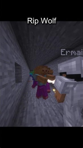 POV: Your Doggy dies in your minecraft world, Old enough to understand this pain in my heart #shorts