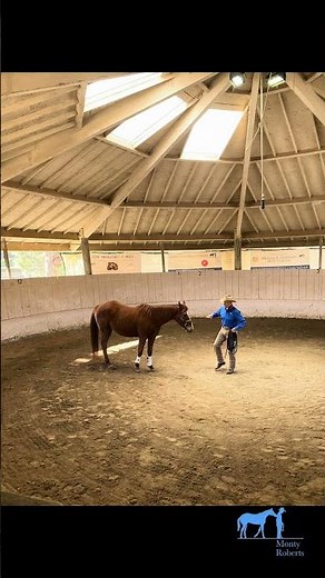 Learn from Monty Roberts