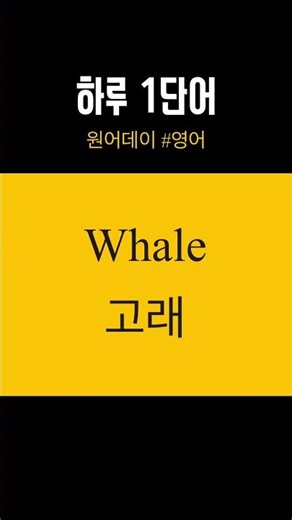#영어 #whale #고래 #oneaday #원어데이 #영어공부 #하루에하나씩 #오늘부터시작 #하루한단어 #koreanlanguage