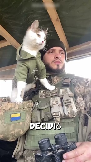 Un soldado llevó a su gata al campamento y todo cambió 🐱🪖