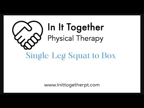 Single-Leg Squat to Box