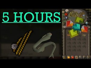 Loot from 5 hours of fishing ZULRAH scales (Sacred eels) - OSRS