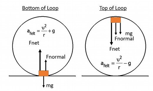 Coasters-101: Vertical Loops - UPDATED 2022 - Coaster101