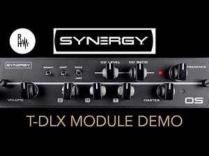 Synergy T-DLX Module Demo
