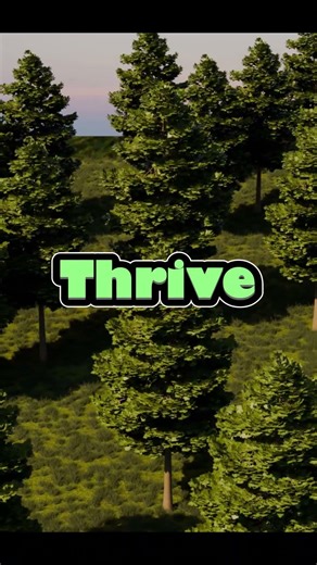 People Don't Know The Purpose Of Winged Seeds