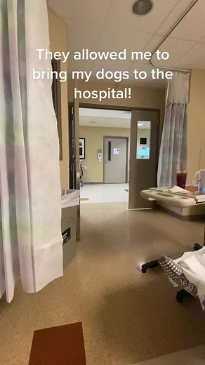 Terry Harrison (@terryharrison22)’s videos with original sound - Terry Harrison