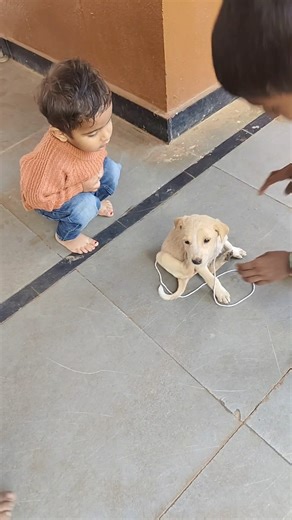 మా అగస్త్య first time touch చేసాడు #trending #viral #viralvideos #video #explore #explorepage