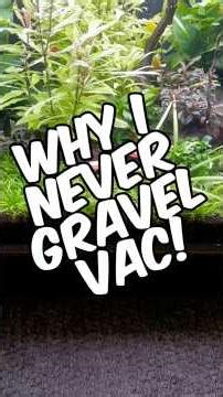 Why I Never Gravel Vac My Planted Aquariums!