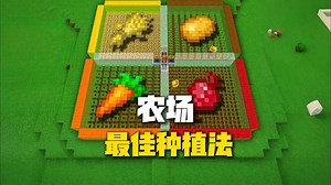 【我的世界】农场增产必看！2 步操作让作物生长速度提升 50%