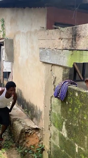 Peeping Cat 🤣🤣🤣 | General Daddy CAT