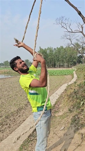 Hanging from a tree branch