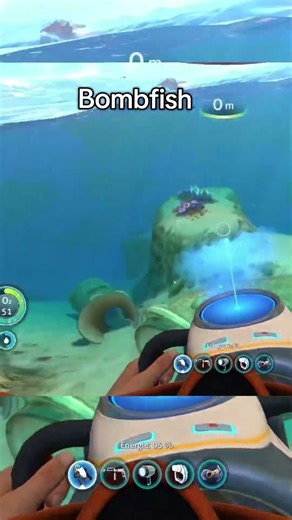 Bomb Fish #subnautica #subnauticabelowzero #subnauticagameplay #subnauticaletsplay