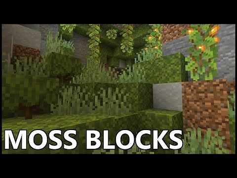 How To Get MOSS BLOCKS In MINECRAFT