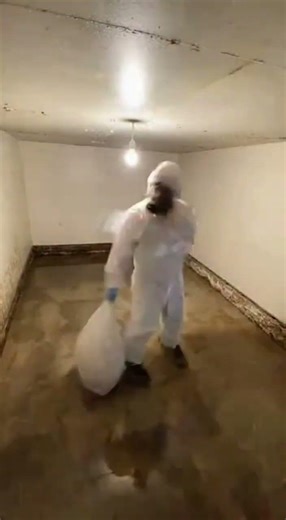 Basement to Bedroom: Stunning Transformation! 🏡✨ #BasementRenovation #DIY