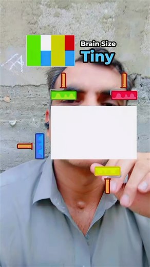 meh brain size test level painting coloring game mach . . . . . . . . . . #shorts #braintest #iqtest #shortvideo #foryou #reels #viral #reelsvideo #trending #mrresolve1 #reelsviral #coloring #braintest | Mr resolve | Facebook