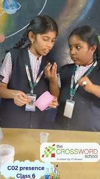 Class 6 Chemistry – Demonstration of Carbon DioxideClass 6 students