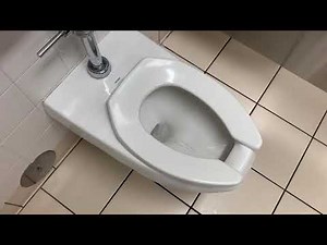 PUBLIC RESTROOM REVIEW- Target (Monaca, PA)