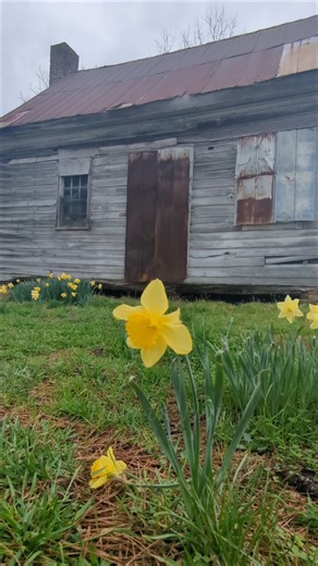 89K views · 3.2K reactions | ✨ A lot has changed since this house was built 200 years ago. But with all our modern technology and conveniences, I sometimes wonder whether it’s really made life any easier. | The Forgotten South | Facebook