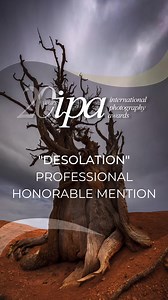 📷 Meet the talented David Swindler IPA 2022 Professional Honorable Mention. “The bristlecone pines are some of my favorite trees. In Utah they grow in very high elevation areas with dolomitic soil. The cold temps, poor soil quality, and high altitude tend to exclude other types of plants, allowing these trees to flourish in their own special ecosystem. But it comes at a cost. These trees grow very slowly. In fact, their needles can stay on the tree for nearly 40 years!” Congratulations! #Throug