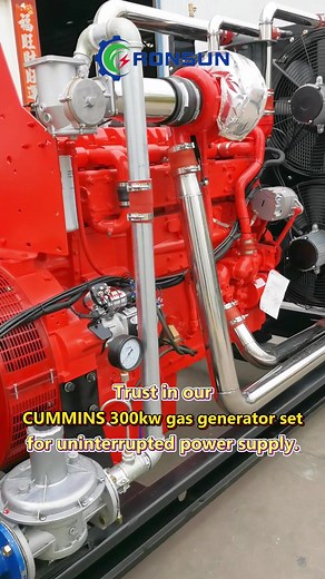 Trust in our CUMMINS 300kw gas generator set for uninterrupted power supply.#generators #powerup #energy #sustainableenergy