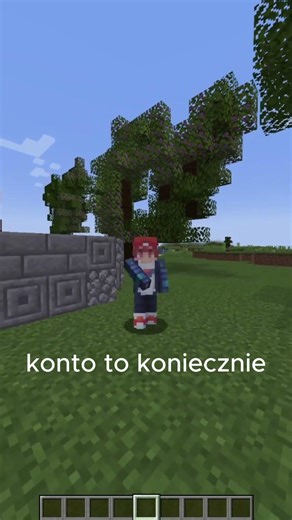 Go to icehost and use the code "romix" #minecraft #viral #vievs #popular