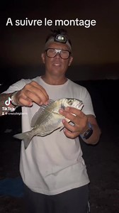 Dorade à la moule le montage #fishing #dorade #peche | Crazy big baits