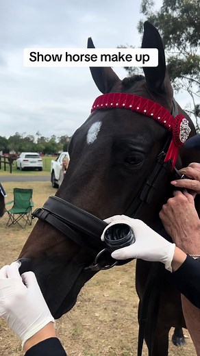 Show Horse Makeup Tutorial