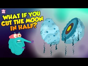 What If The Moon Split In Half? | Moonquake | The Dr Binocs Show | Peekaboo Kidz