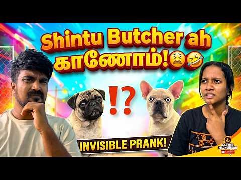 || Prank with Butcher & Shintu!😄|| Invisible prank!!😮❤️||