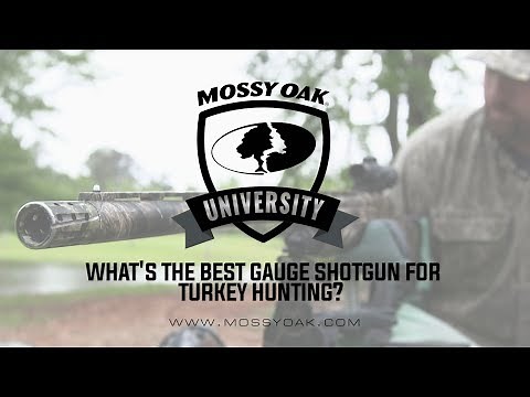 What Is The Best Shotgun Gauge For Turkey Hunting