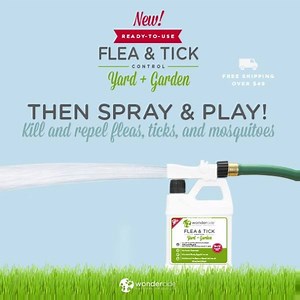 Want to spray and get back to play? Skip the mix with our...