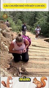 CÂU CHUYỆN NHỎ VỚI CHÚ SÓC