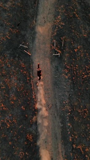 Can’t worry about what’s coming further down the road. #drone #horse #horsegirl #horses #color #silverlining #racing #dog #dogs #cinema #cinematic