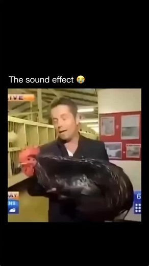 Daily Memes 🥸 on Instagram: "😂🤣 It sounds made up, but it’s real: a Japanese folk-metal musician teamed up with a German yodeler to create one of the internet’s most legendary weird videos. “Chicken Attack” isn’t just a meme—it’s a legit song by Takeo Ischi, a classically trained Japanese yodeler who became famous in Germany. In the video, he fights crime with a ninja chicken, blending martial arts, yodeling, and absurd comedy into something bizarrely polished. Released in 2017 by The Gregory