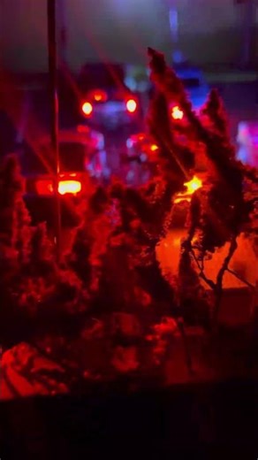 The completed led projects.#fyp #ledlights #diecast #collection