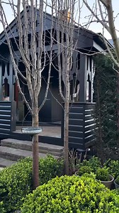 32K views · 1.3K reactions | { S L O W S U N D A Y } A quiet wander through the garden, coffee in hand, cat in company. Stopping here and there to water a few of my favourite planters, and couldn’t resist clipping a couple of beautiful black tulip magnolias blooms to carry their beauty inside, to keep me company at the desk. ️ Shop Online Now www.haroldsfinishingtouches.com  Taken @ haroldsHOME | Harolds Finishing Touches | Facebook