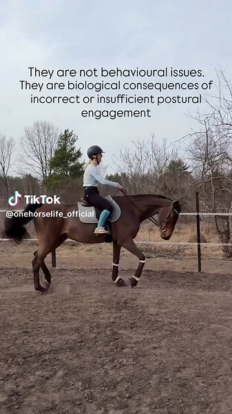 Transform Weak Horse Backs with Our Unique Course