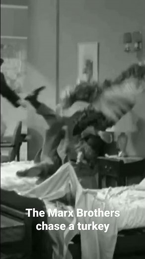 The Marx Brothers chase a turkey in Room Service 1938